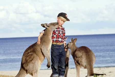 Wonders of Australia