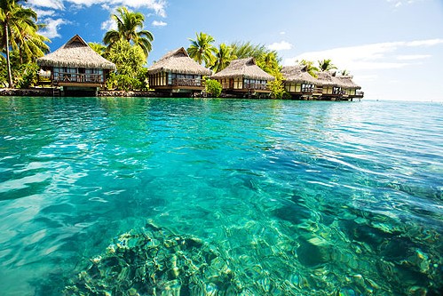 Exotic Maldives